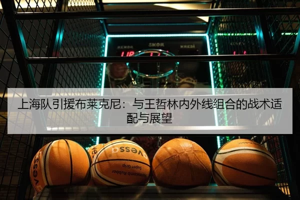上海队引援布莱克尼：与王哲林内外线组合的战术适配与展望